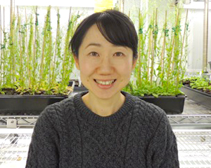 山上あゆみの写真